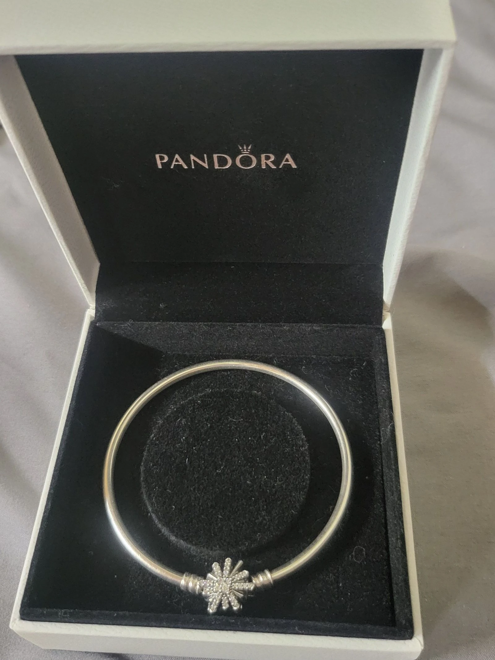 Magnifique bracelet Pandora avec charm